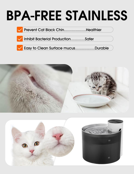 BPA-free stainless steel cat water fountain helping prevent cat acne and bacteria with clean, hygienic drinking surface