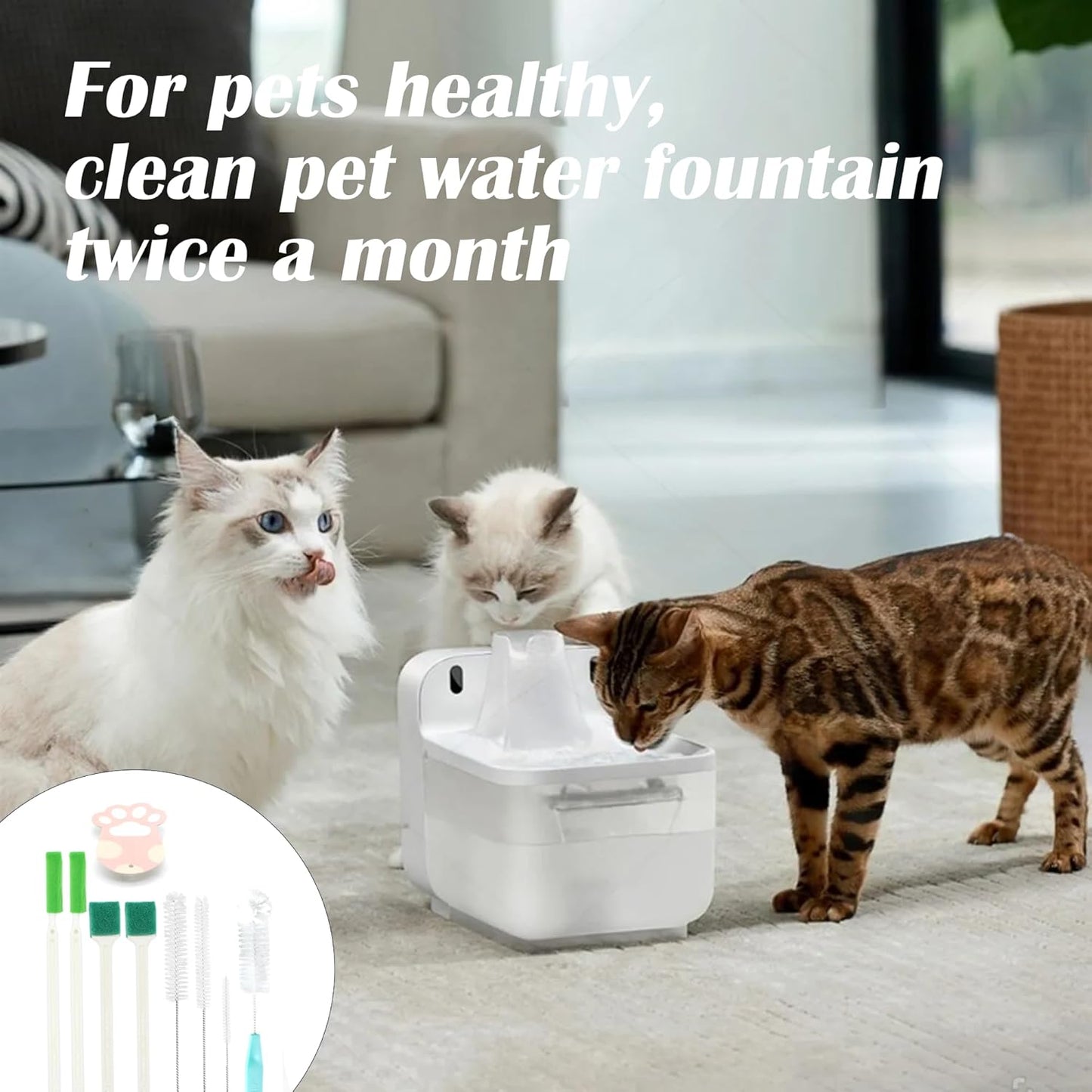 three cats drinking from pet water fountain with cleaning kit shown, highlighting importance of keeping cat water fountain clean for pet health
