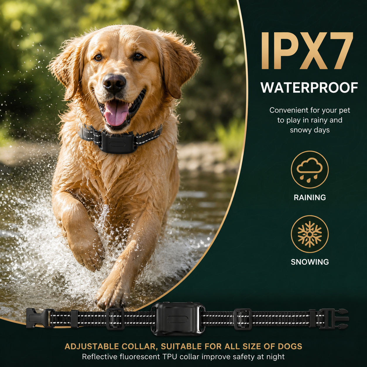 IPX7 waterproof dog training collar and wireless fence system with dog running in water, suitable for rainy and snowy conditions