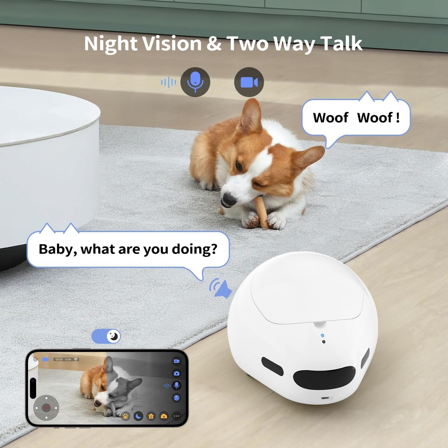 Smart pet camera robot with night vision and two-way audio monitoring a dog via mobile app communication