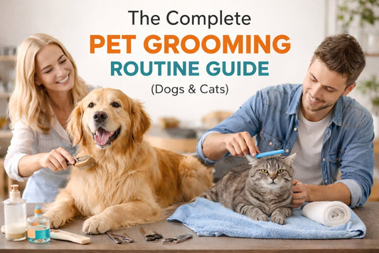 Pet owners grooming dog and cat at home – complete pet grooming routine guide for dogs and cats with essential care steps