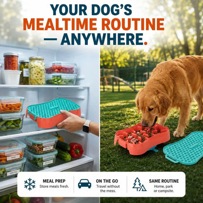 4-in-1 slow feeder dog bowl used for meal prep and outdoor feeding, helping dogs enjoy the same mealtime routine at home or while traveling.
