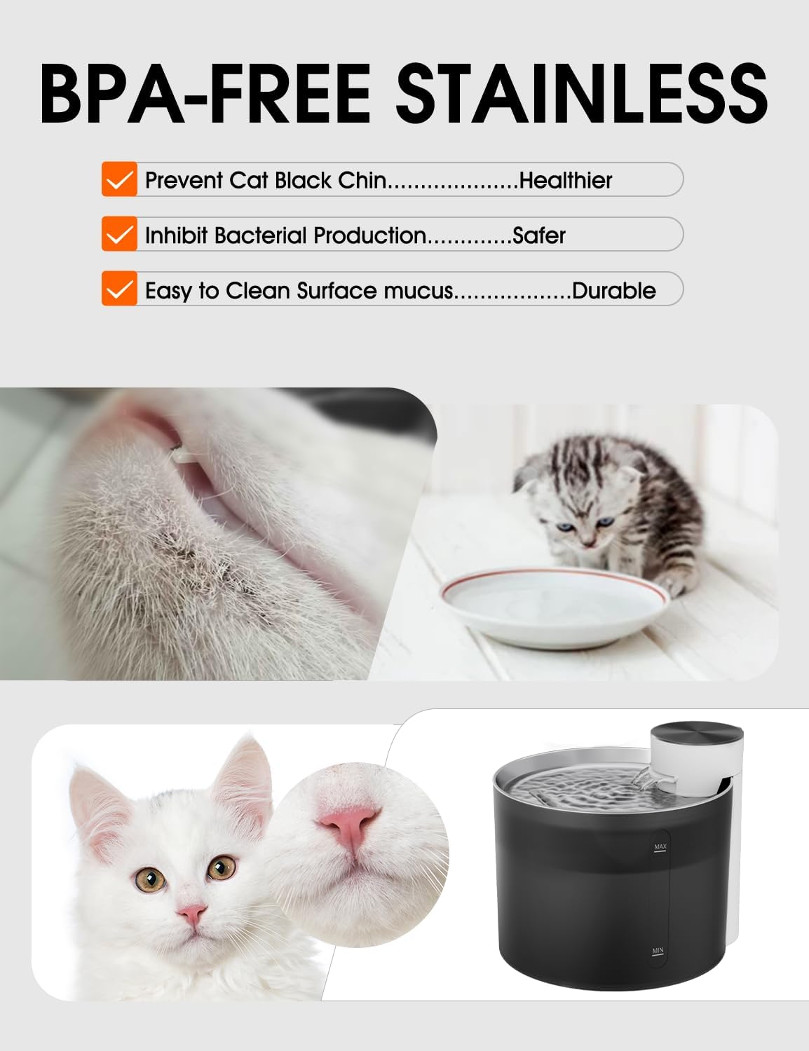 BPA-free stainless steel cat water fountain helping prevent cat acne and bacteria with clean, hygienic drinking surface