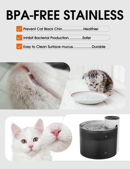 BPA-free stainless steel cat water fountain helping prevent cat acne and bacteria with clean, hygienic drinking surface