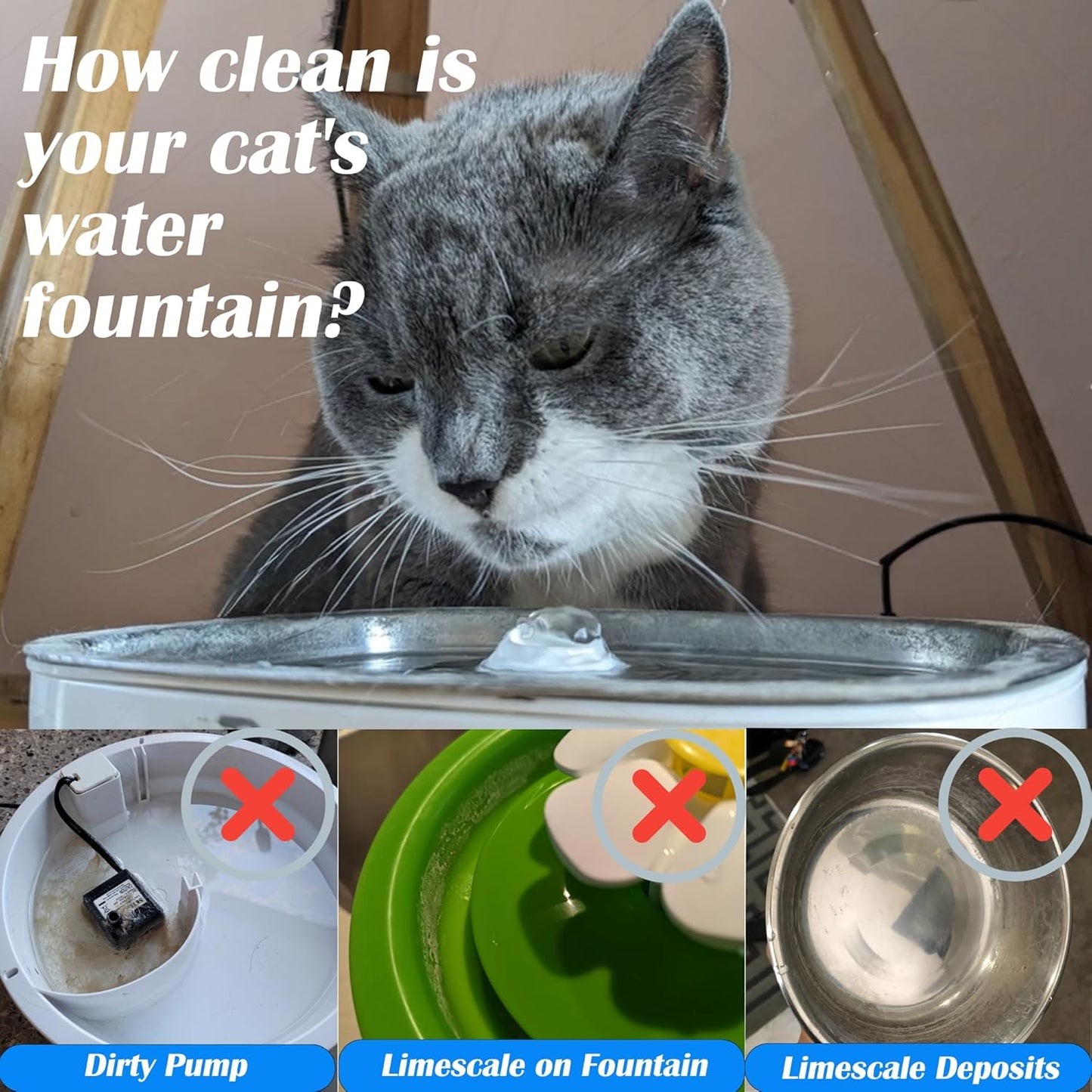 cat drinking from water fountain with examples of dirty pump and limescale buildup showing need for regular cleaning of pet water dispenser