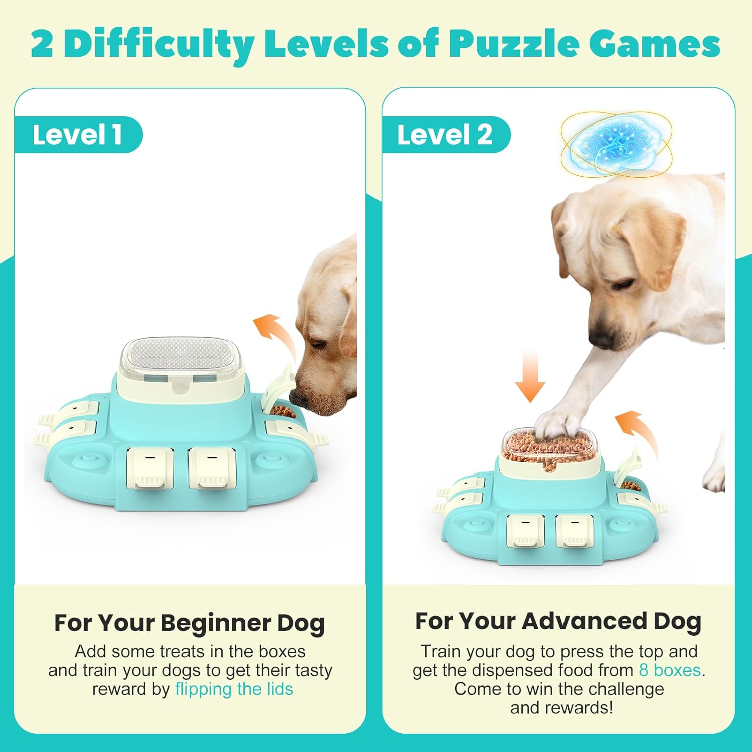 Dog puzzle feeder with two difficulty levels showing beginner and advanced interactive feeding game for mental stimulation