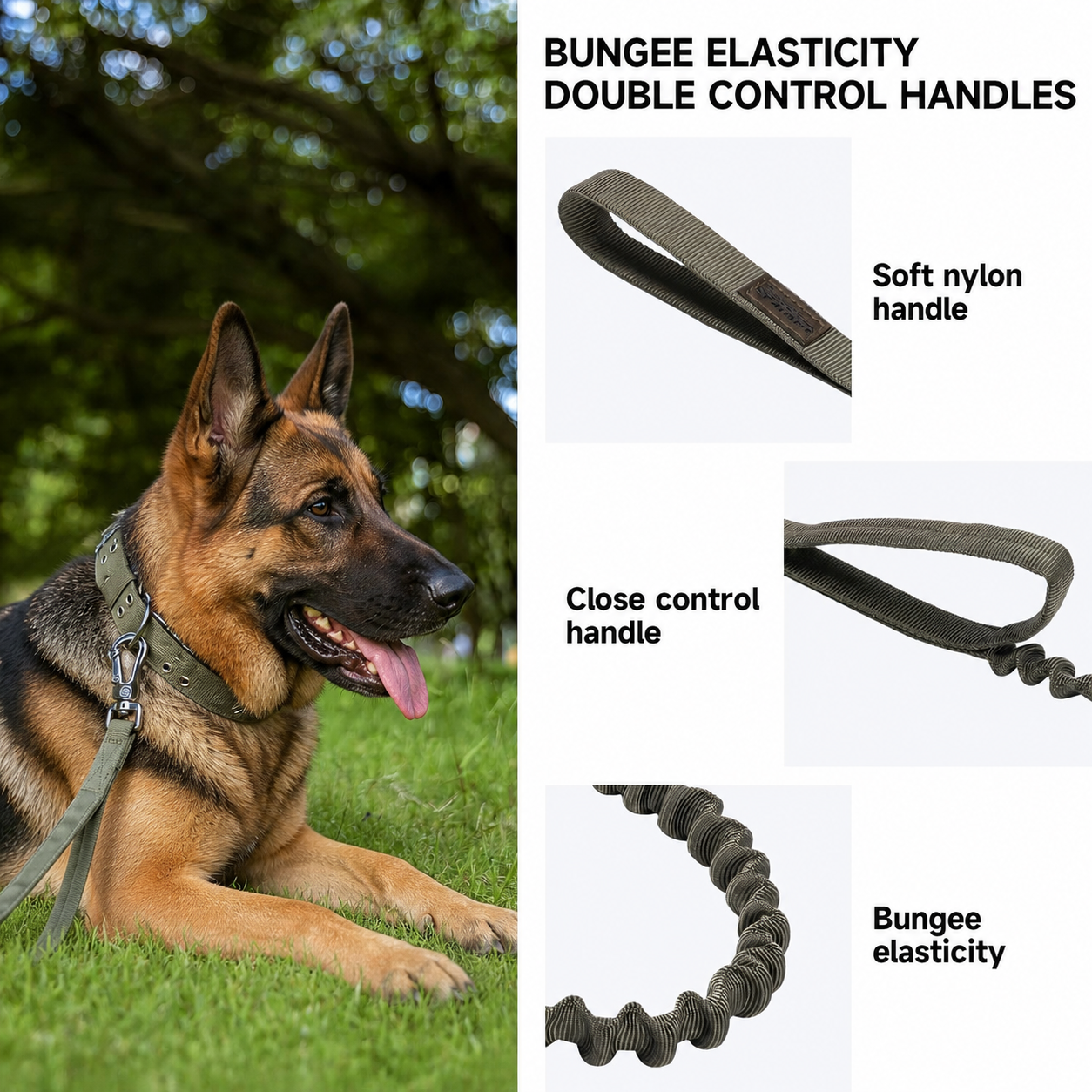 German Shepherd dog with bungee dog leash featuring dual control handles soft nylon grip and elastic shock absorption for better control