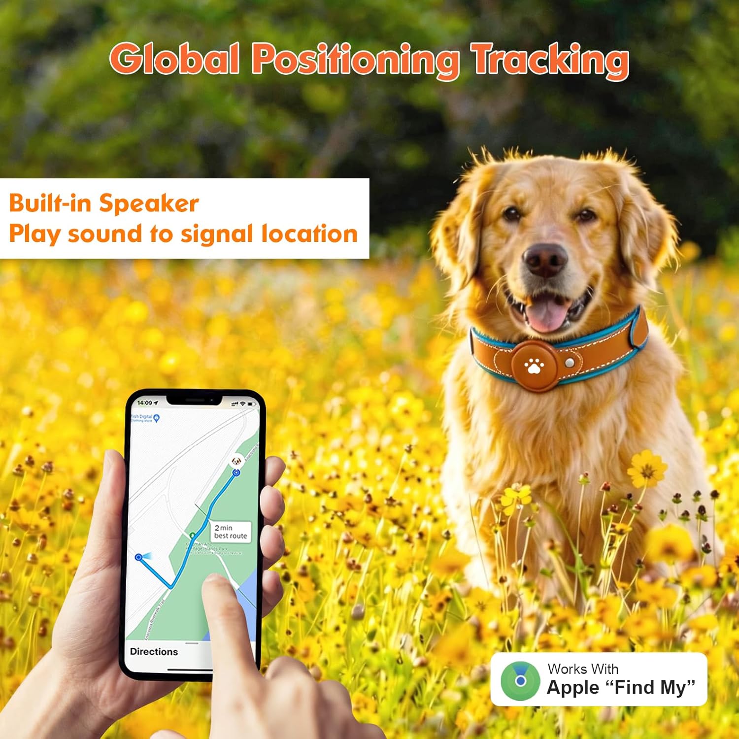 Golden dog wearing GPS tracking collar in field with smartphone showing navigation route and built-in speaker feature for location alerts using Apple Find My