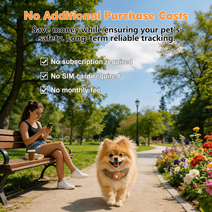 German Spitz dog running in park wearing GPS tracking collar with no subscription fee while owner tracks location on smartphone