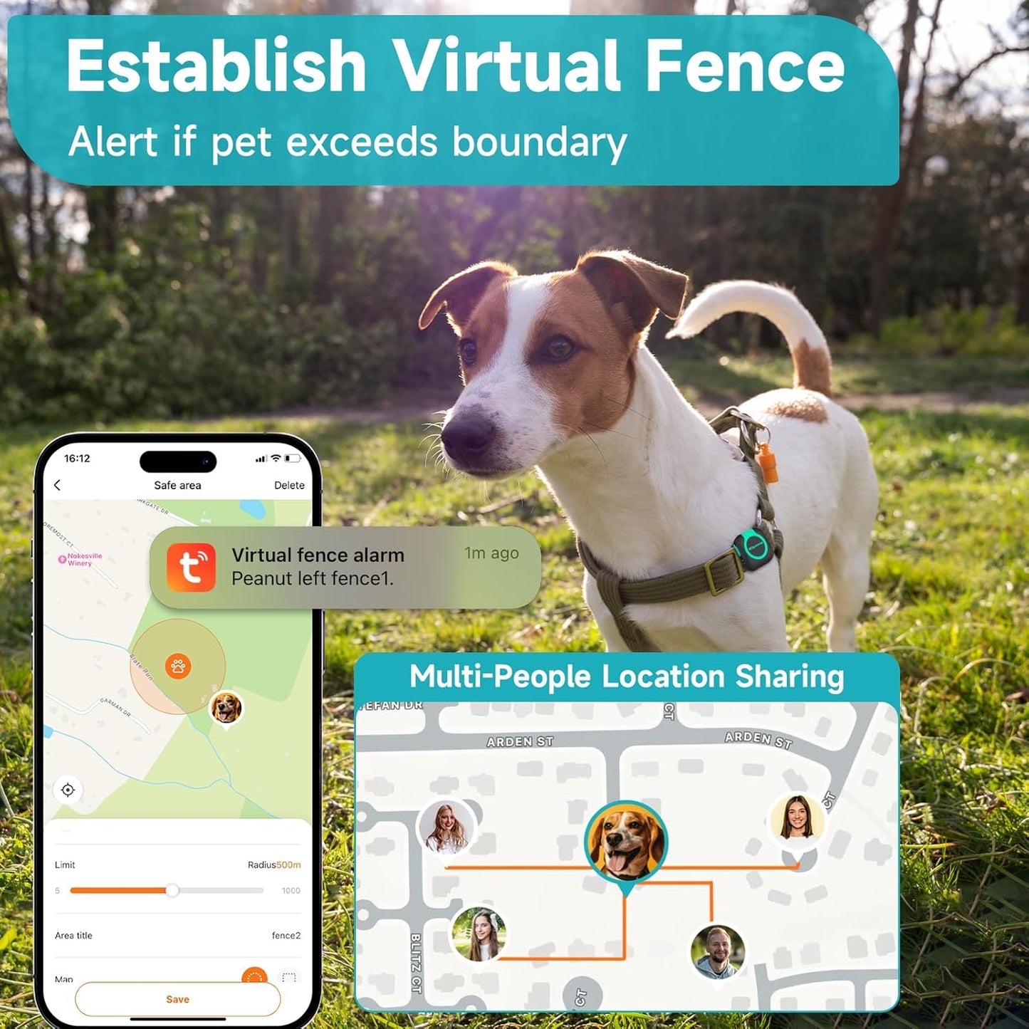 Dog wearing GPS tracker with virtual fence alert and location sharing feature shown on mobile app for pet safety tracking
