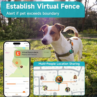Dog wearing GPS tracker with virtual fence alert and location sharing feature shown on mobile app for pet safety tracking
