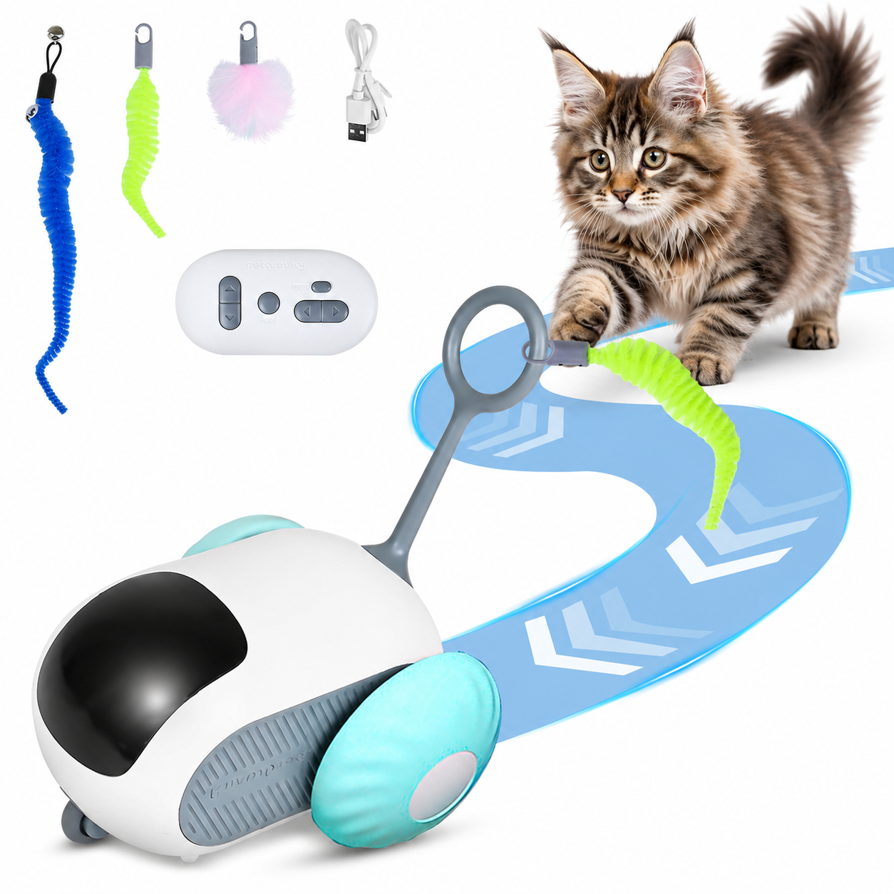 Maine Coon kitten playing with interactive cat toy car featuring remote control, moving track, and USB rechargeable smart cat toy accessories