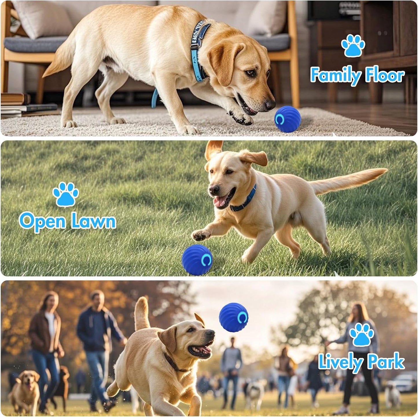 labrador dog playing with interactive blue dog ball on home floor open lawn and park showing indoor and outdoor use scenarios