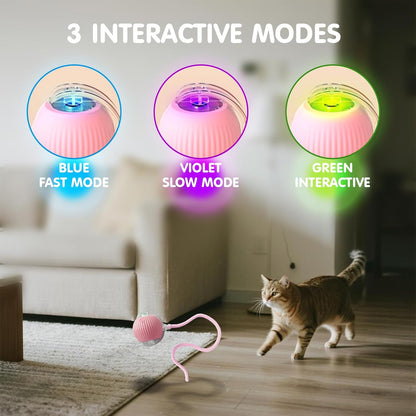 Cat playing with interactive pet ball showing three modes fast blue slow violet and green interactive smart toy for indoor cats