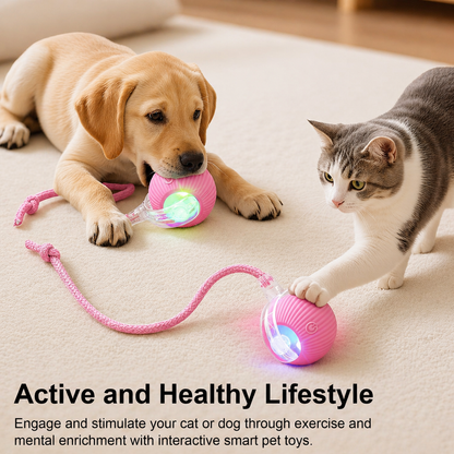 Dog and cat playing with pink interactive pet ball toy promoting active and healthy lifestyle for pets indoors