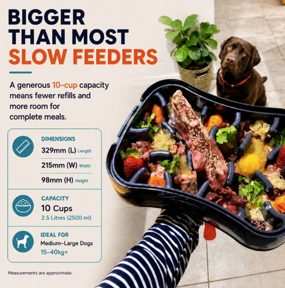 Large slow feeder dog bowl with 10-cup capacity, designed for complete meals and ideal for medium to large dogs.