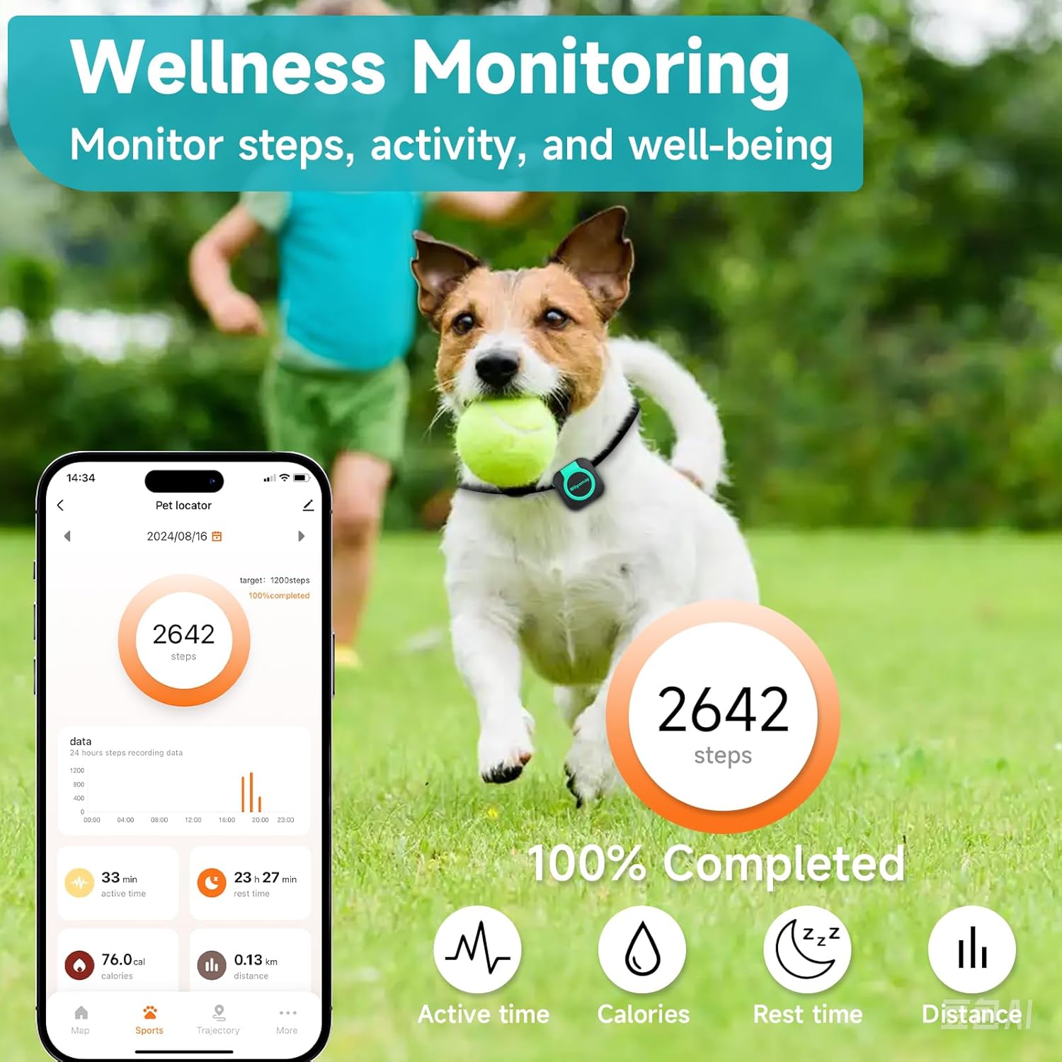 Dog running with ball wearing GPS tracker showing wellness monitoring, step tracking, activity data, and health stats on mobile app