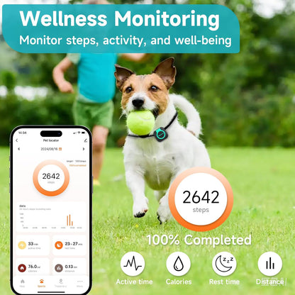 Dog running with ball wearing GPS tracker showing wellness monitoring, step tracking, activity data, and health stats on mobile app