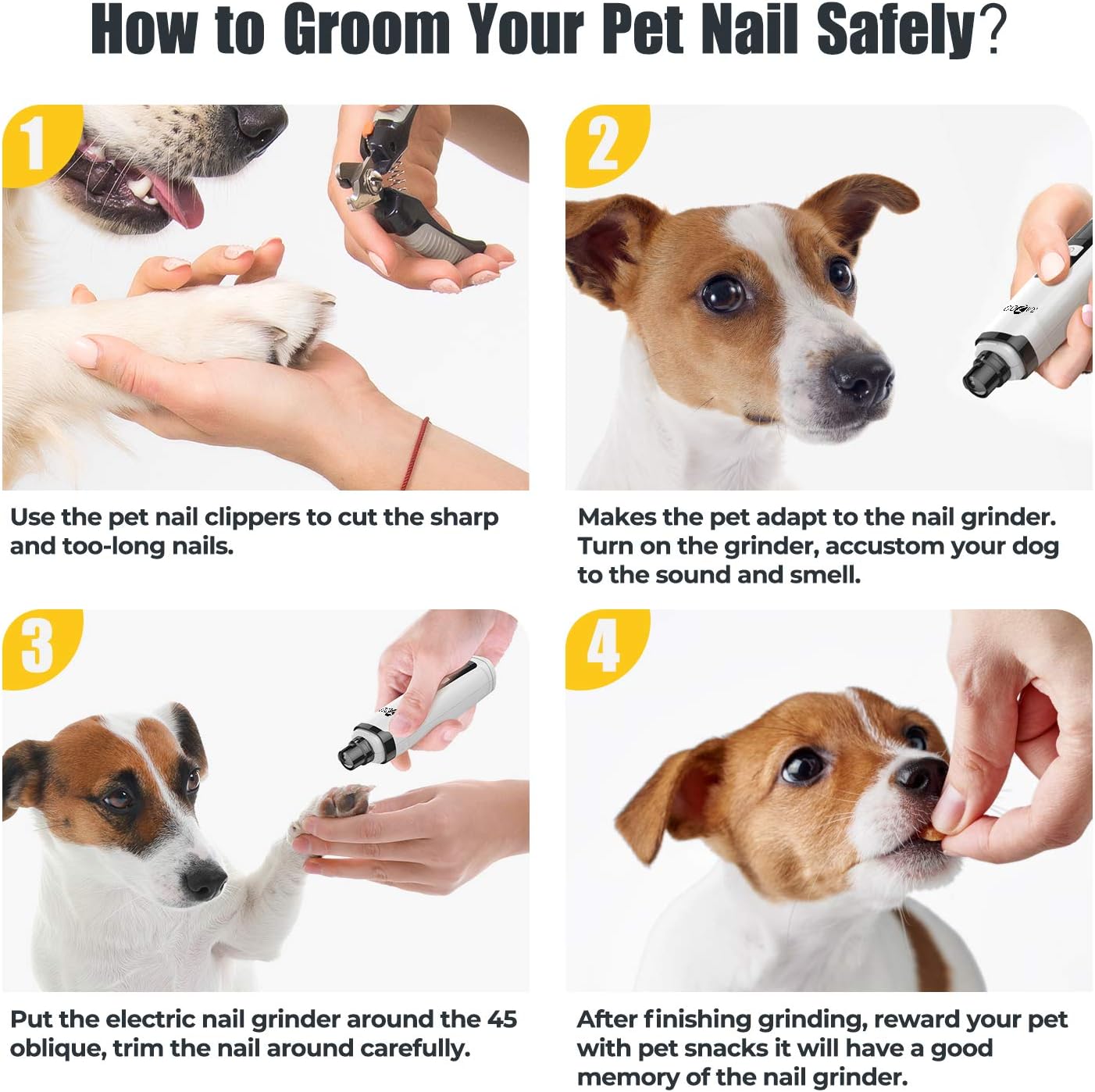 Step by step guide showing how to safely groom dog nails using clippers and electric nail grinder with training and reward tips