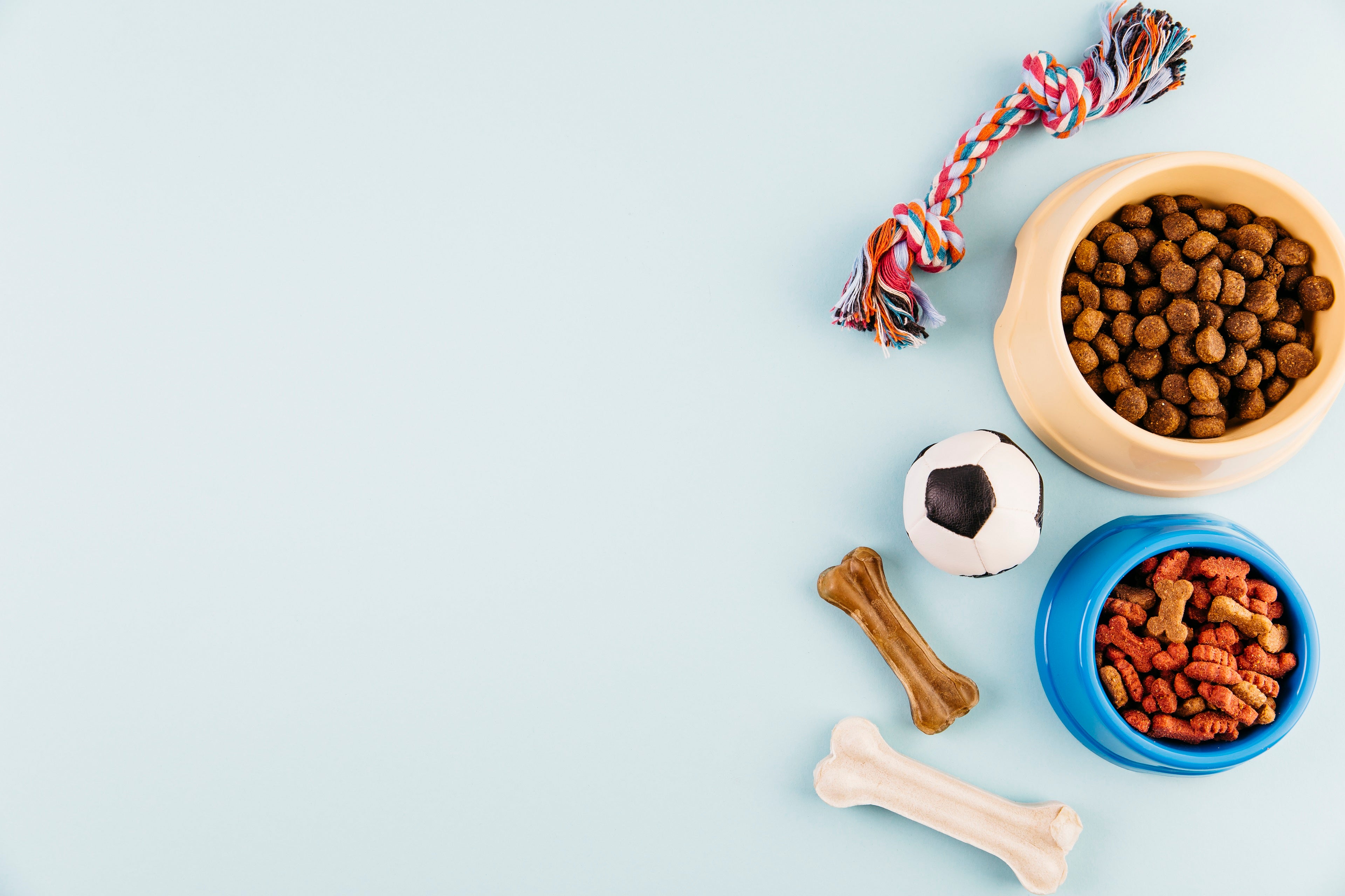 Premium dog accessories with food bowls, healthy kibble, rope toy, ball and chew bones on clean background – Petadiso™ pet care essentials homepage banner