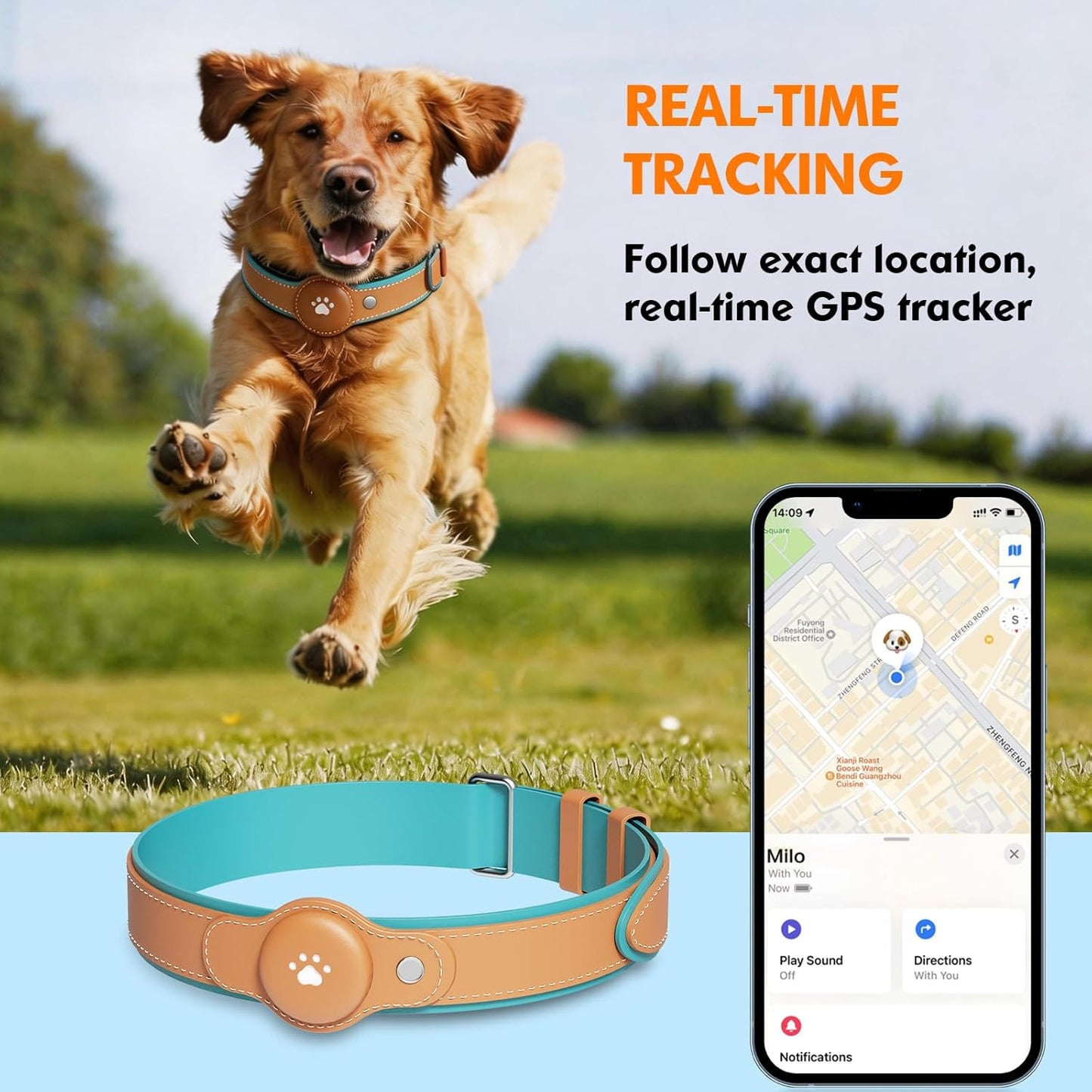 Dog running in field wearing real-time GPS tracking collar with smartphone app showing live location tracking and directions