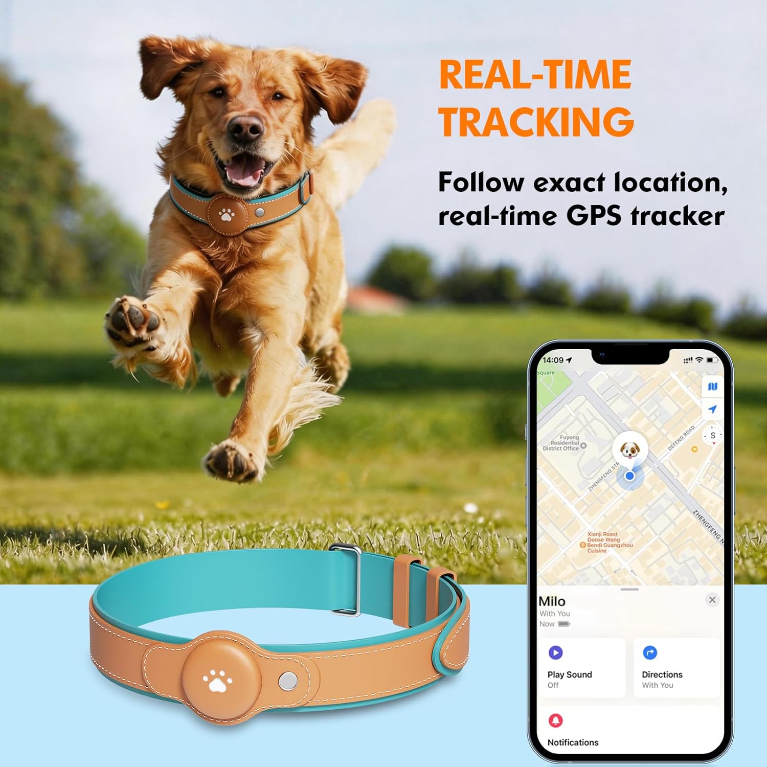 Dog running in field wearing real-time GPS tracking collar with smartphone app showing live location tracking and directions