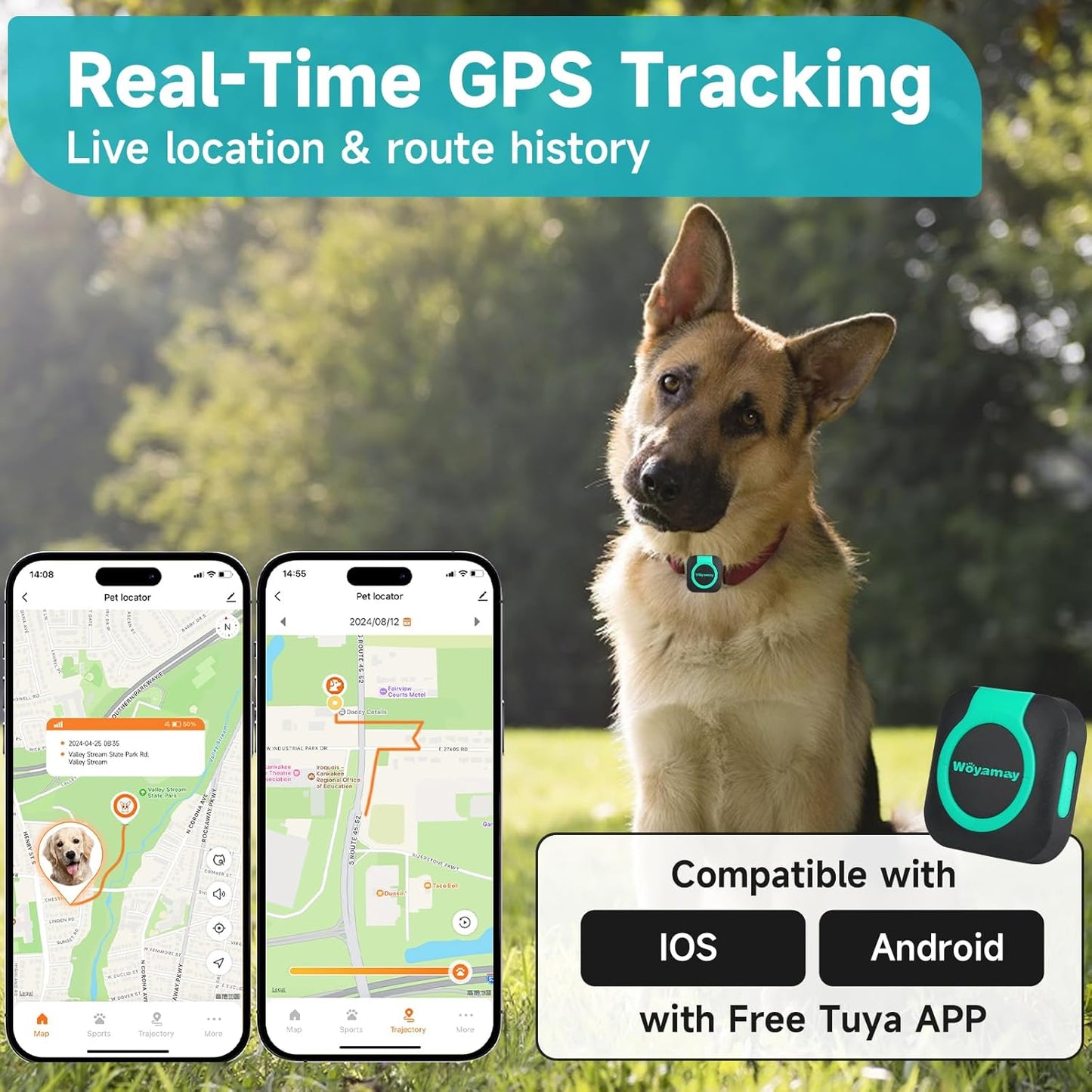 Dog wearing GPS tracker showing real-time location tracking and route history on mobile app compatible with iOS and Android