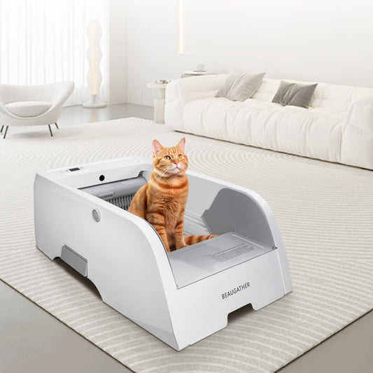 orange cat using open entry self cleaning litter box with odor control in modern living room