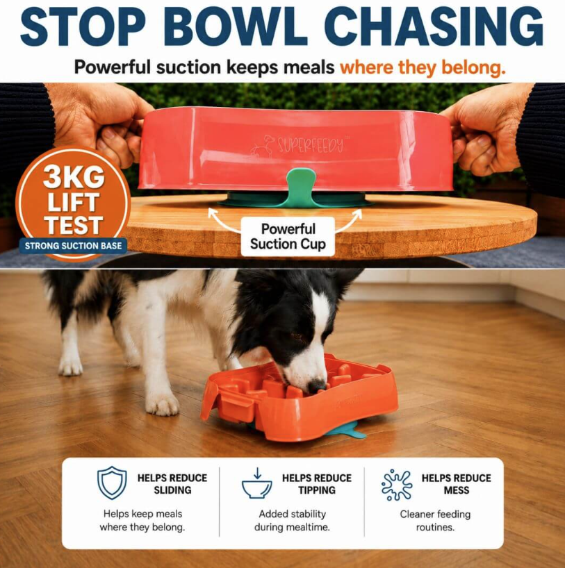 Slow feeder dog bowl with strong suction base designed to help reduce sliding, tipping, and mess during mealtime.