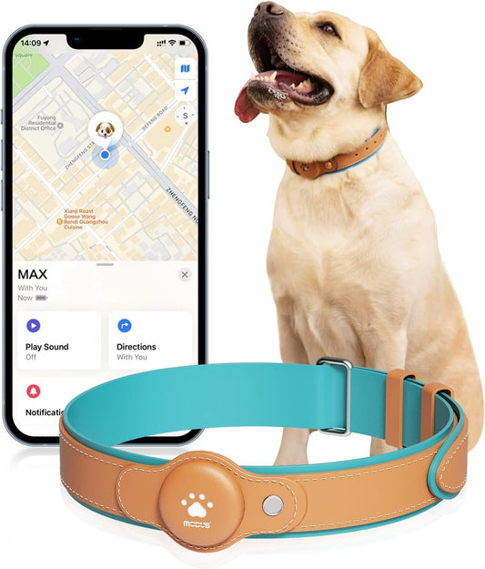 Dog wearing smart GPS tracking collar with smartphone showing real-time location tracking in Find My app with no monthly subscription