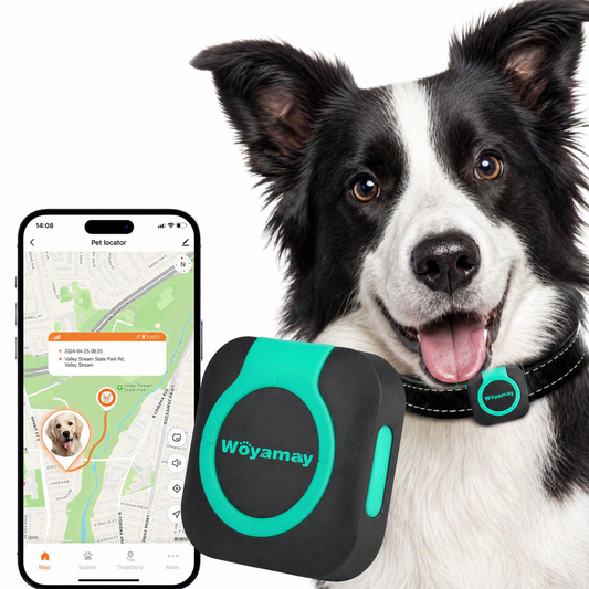 Smart GPS pet tracker attached to dog collar with mobile app showing real-time location tracking and pet activity monitoring