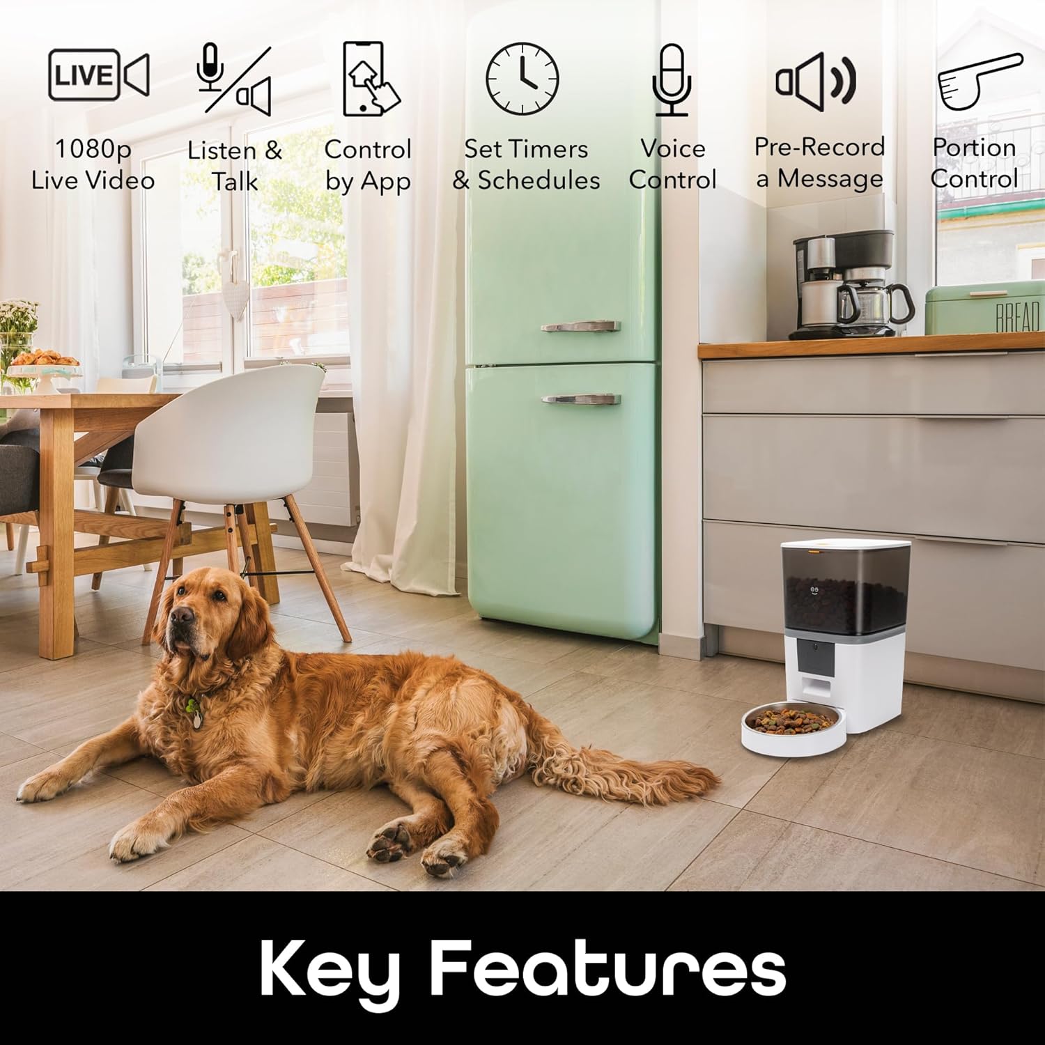 Dog lying in kitchen next to smart pet feeder with camera, automatic feeding system with app control, timers, voice control and portion management for pets