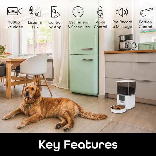 Dog lying in kitchen next to smart pet feeder with camera, automatic feeding system with app control, timers, voice control and portion management for pets