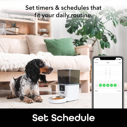 Smart pet feeder with app-controlled feeding schedule and timers, dog sitting next to automatic feeder with portion control in home environment