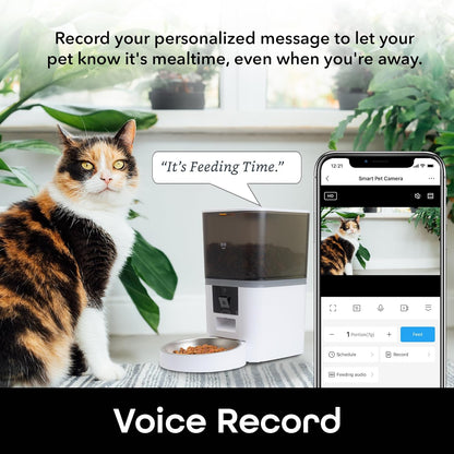 Smart pet feeder with voice recording feature allowing personalized feeding messages, automatic cat feeder with app control and camera monitoring