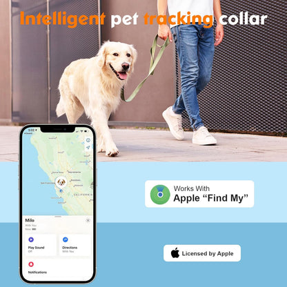 Dog walking with owner wearing smart GPS tracking collar compatible with Apple Find My app showing real-time location tracking on smartphone