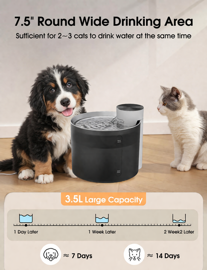 3.5L stainless steel cat water fountain with wide drinking area used by kitten and puppy, ideal for multiple pets